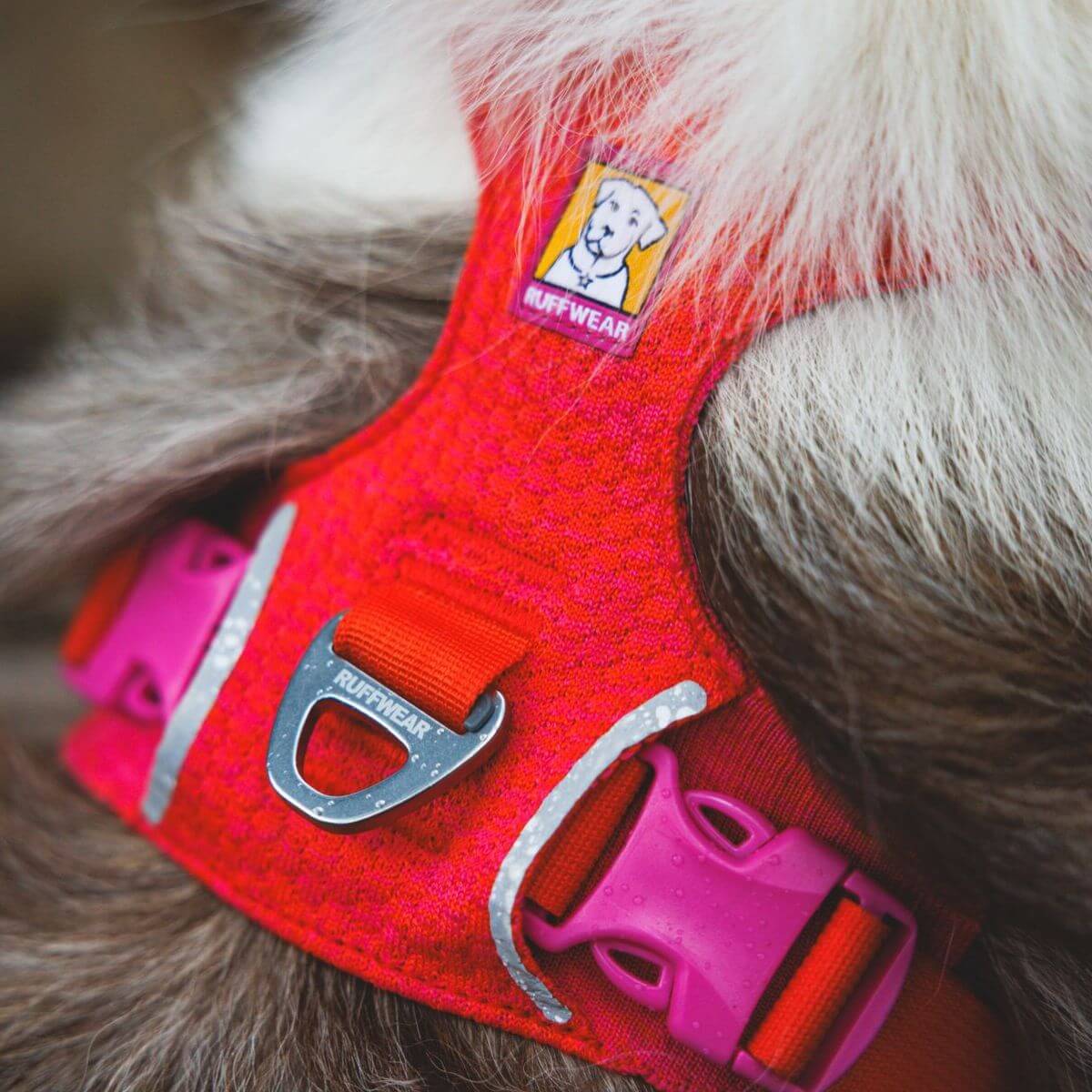Ruffwear Front Range® Flex Harness