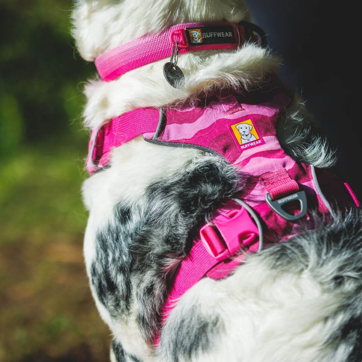 A dog wearing the ruffwear front range harness in pink mountains from the off-cadence collection.