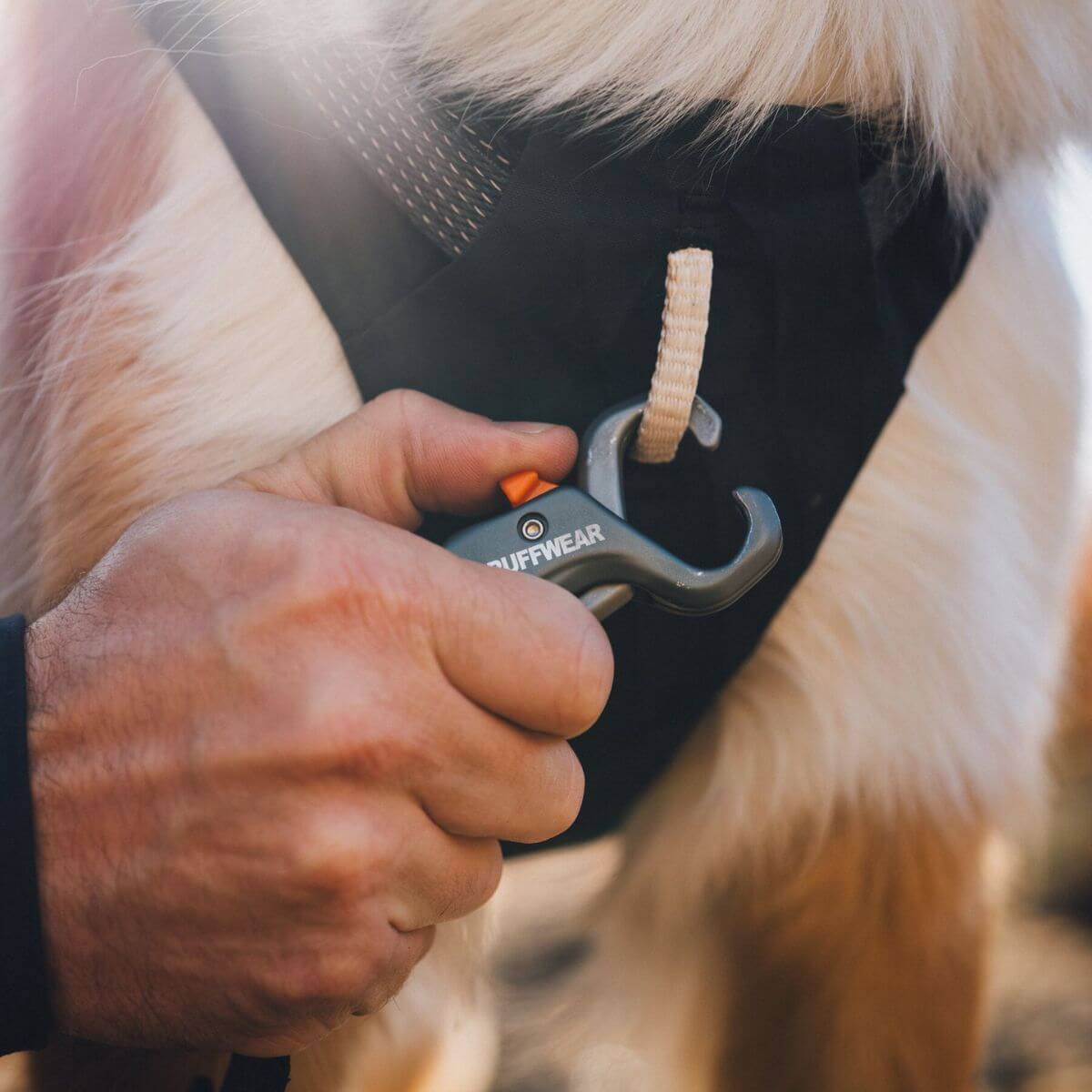 Bottom front clip on the chest for training on the Ruffwear Ridgeline Harness.