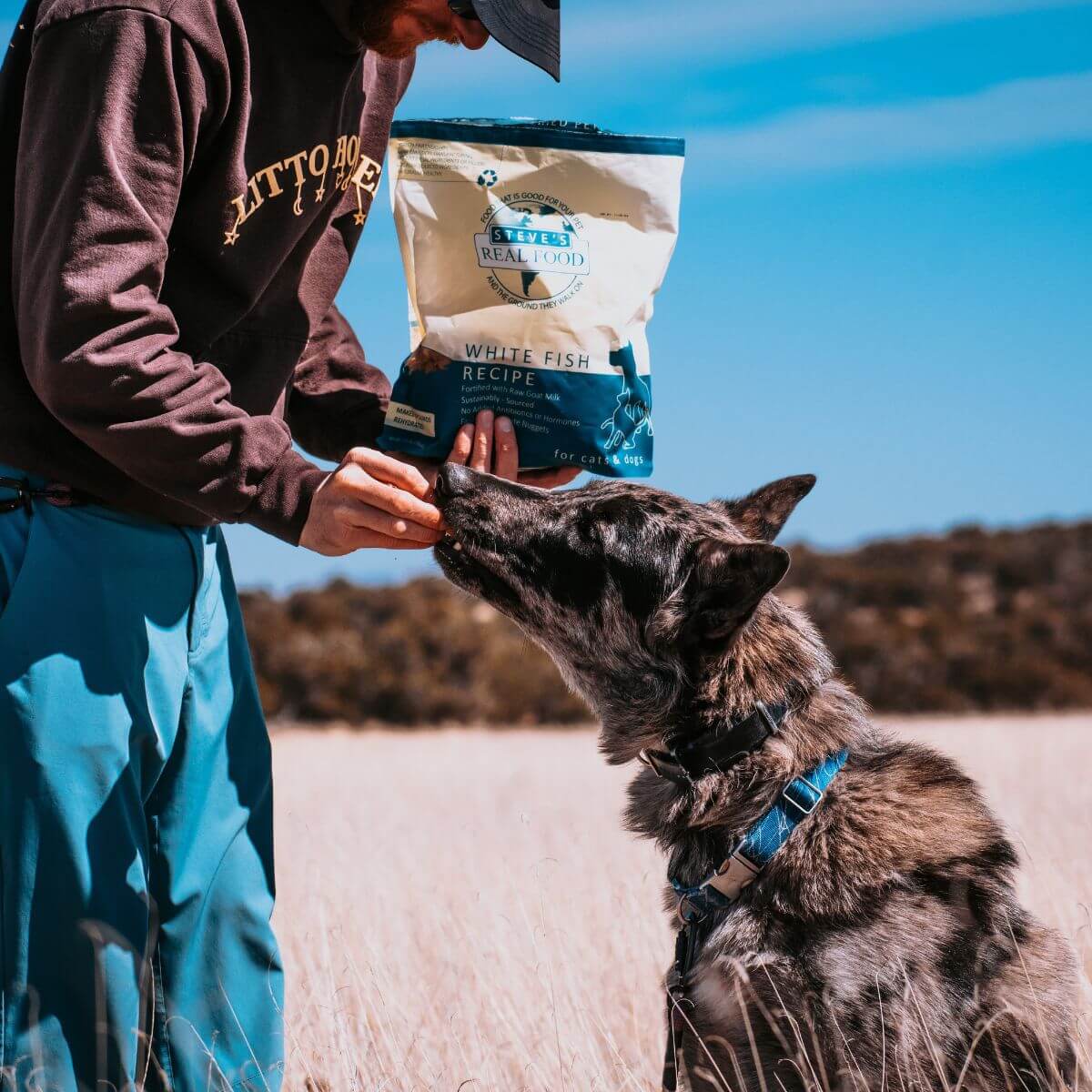 A dog being fed the Steve's Real Food White Fish Freeze Dried Nuggets.