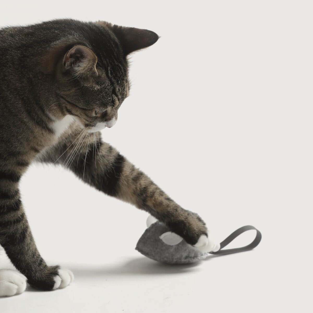 A cat pawing at the Studio Alive Mikitoy Catnip Mouse Toy.
