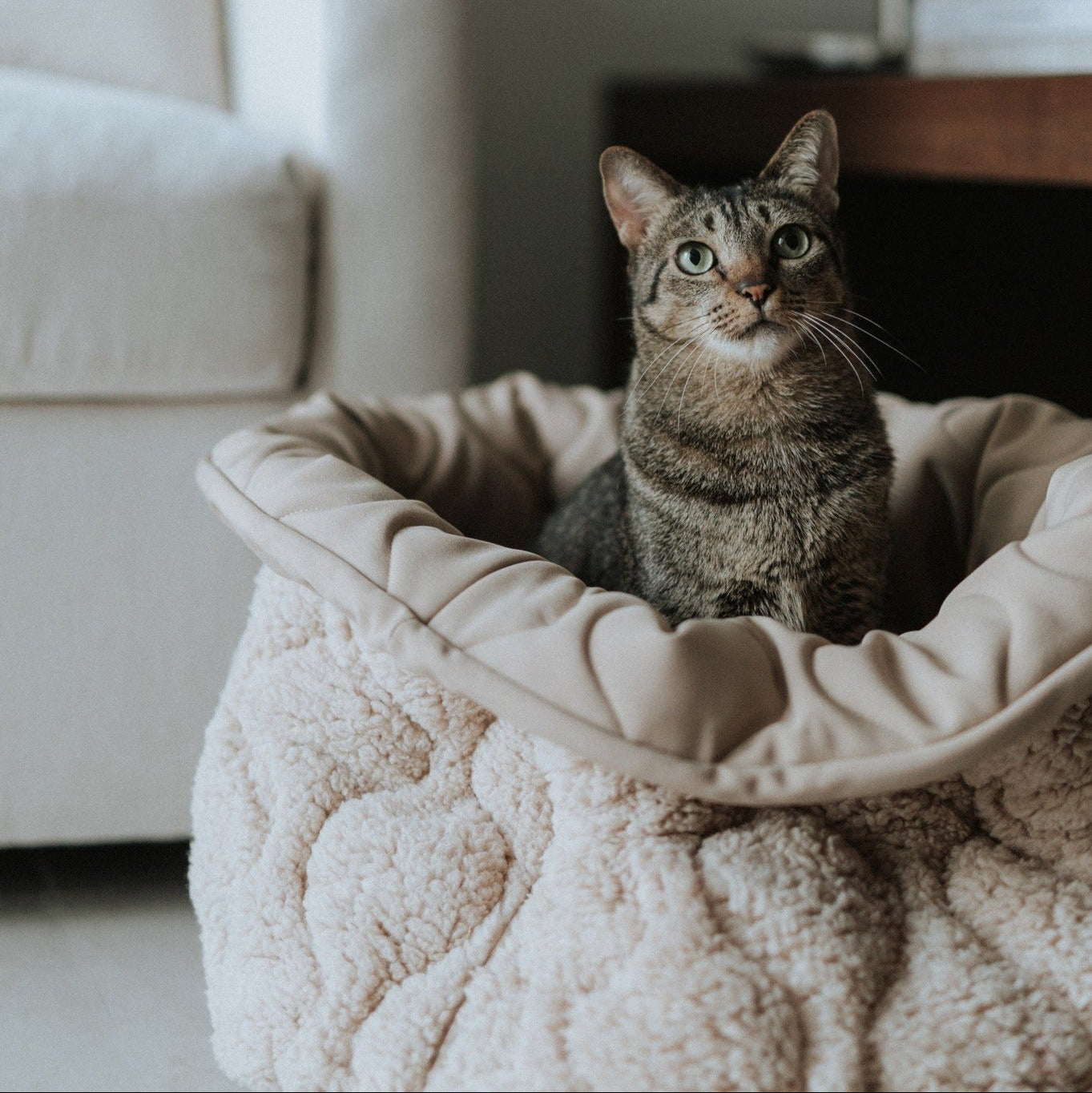 Lambwolf TAART Reversible Donut Bed