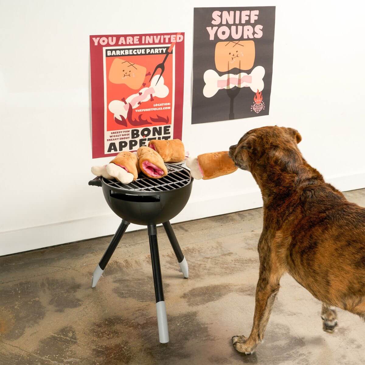 A brown dog with the furryfolks bone appetit nosework toy.