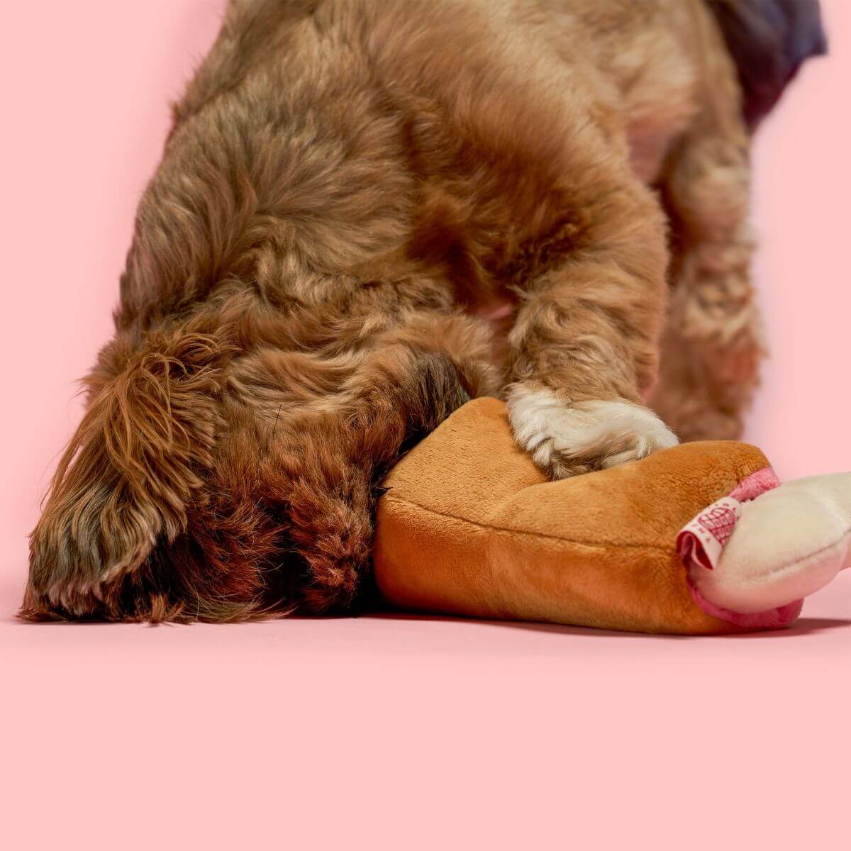 A brown dog with the furryfolks bone appetit nosework toy.