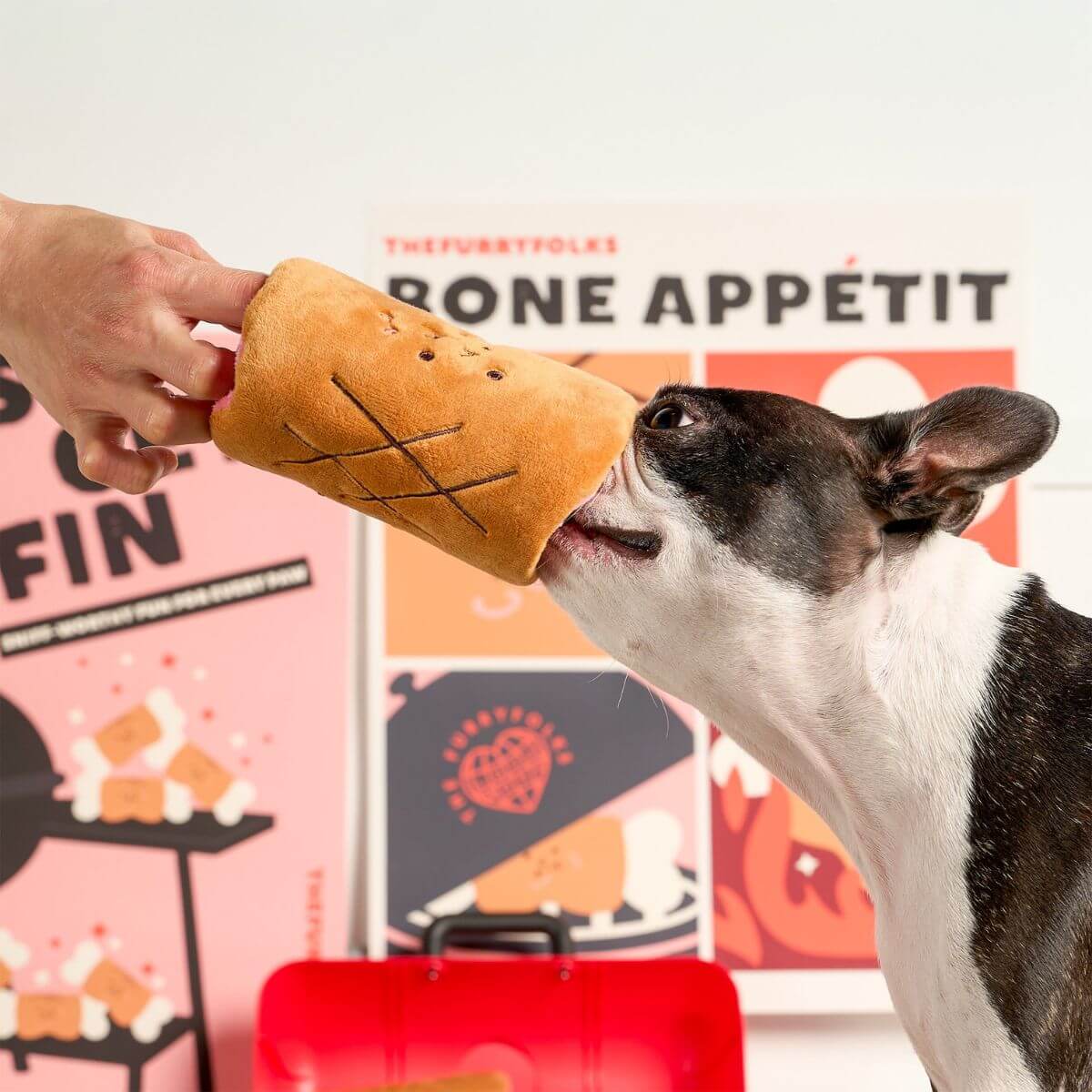 A boston terrier with the the furryfolks bone appetit nosework toy.