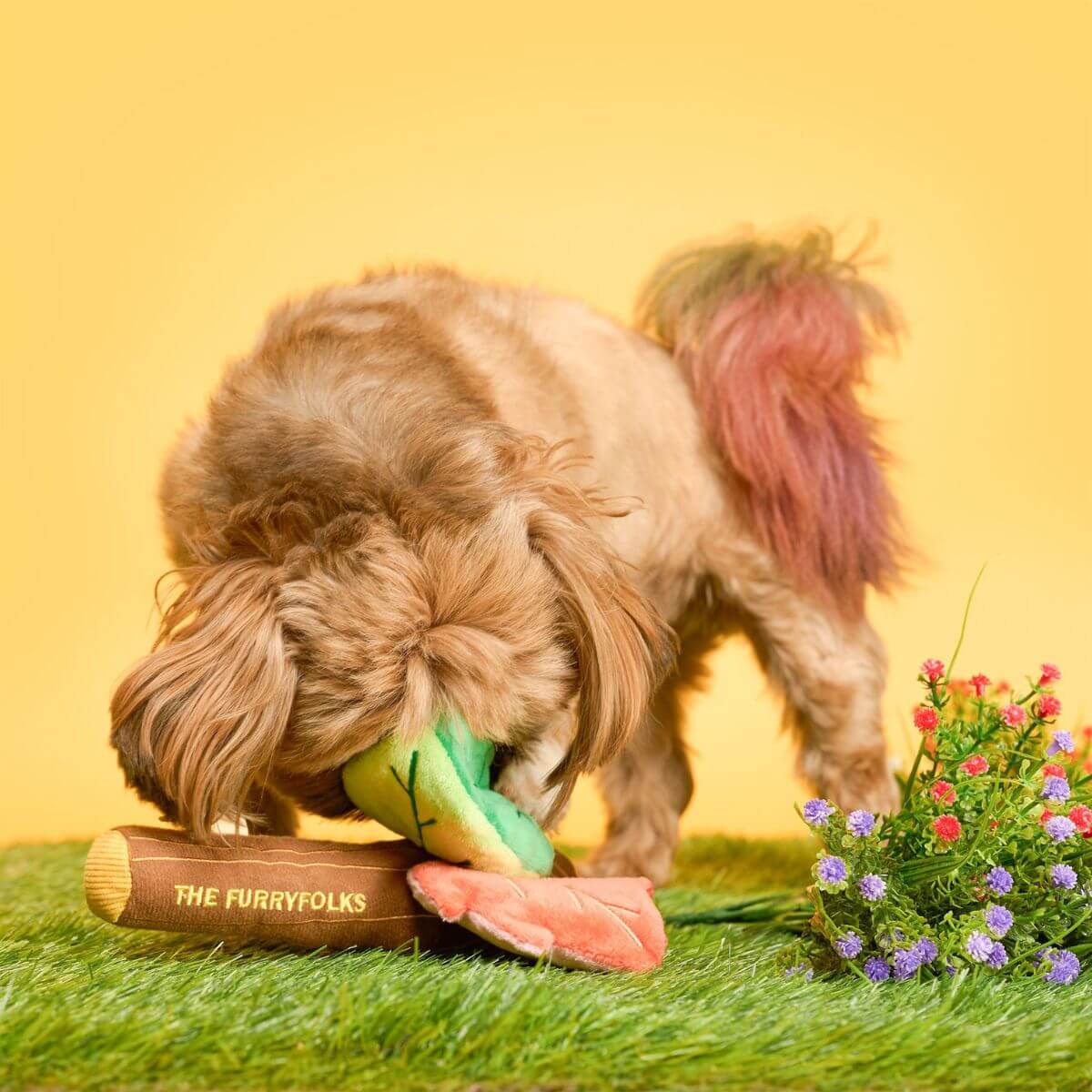 A dog burying its face and snout into the treat pockets of the leaves that are part of the the furryfolks branch manager's branch nosework toy.
