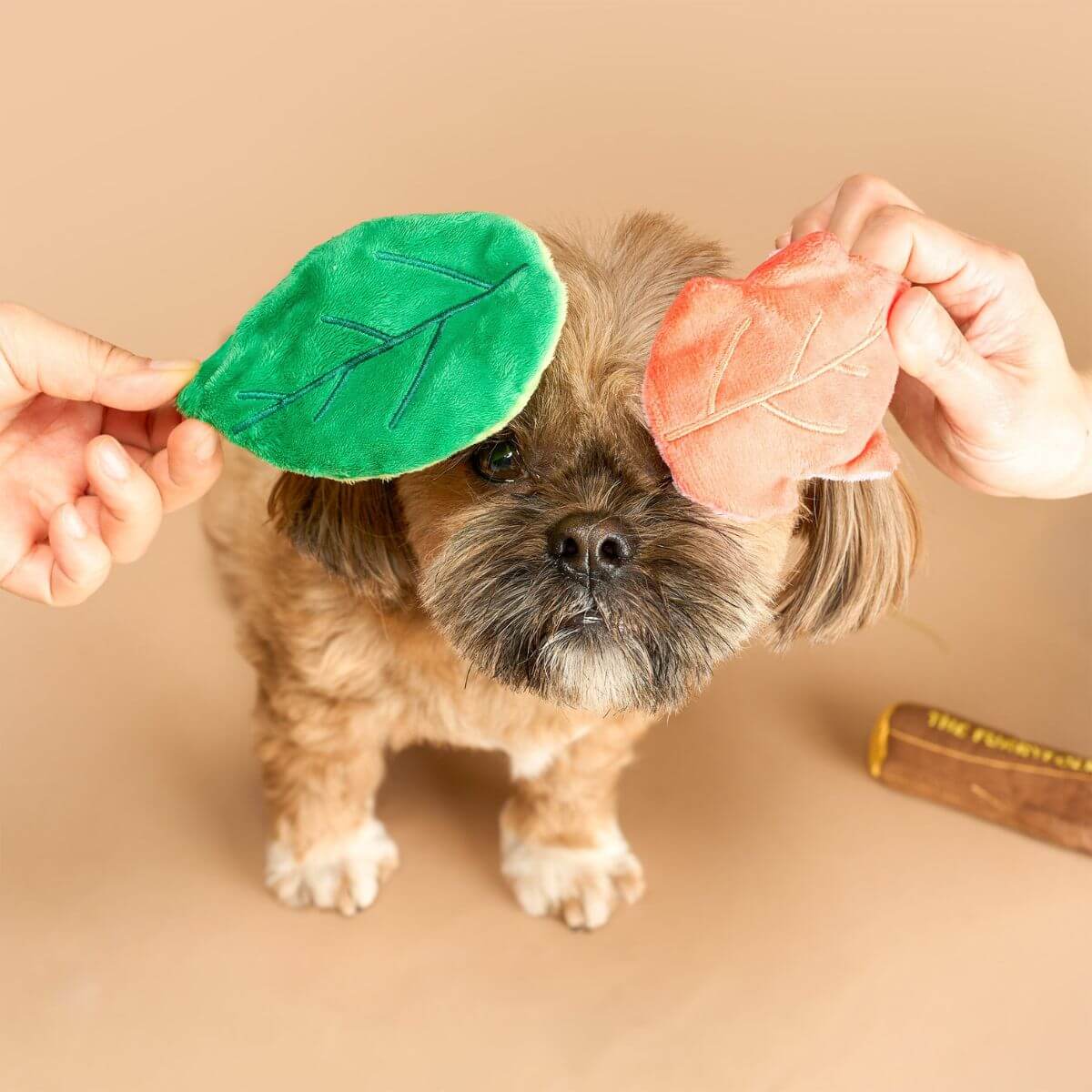 A dog hiding behind the leaves of the the furryfolks branch manager's branch nosework toy.