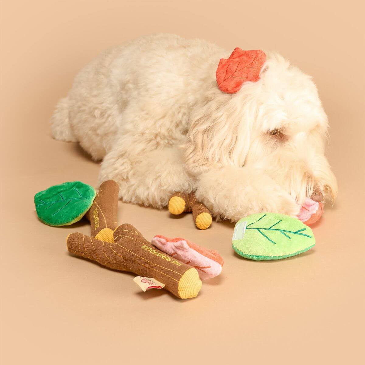 A dog napping beside the the furryfolks branch manager's branch nosework toy,