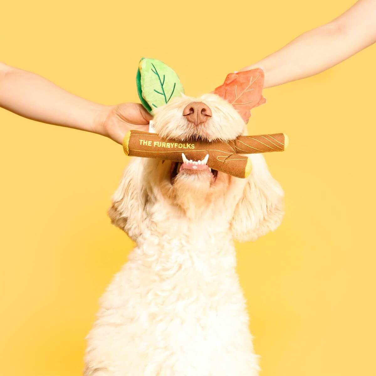 A dog with the the furryfolks branch manager's branch nosework toy twig in its mouth and leaves covering its eyes.