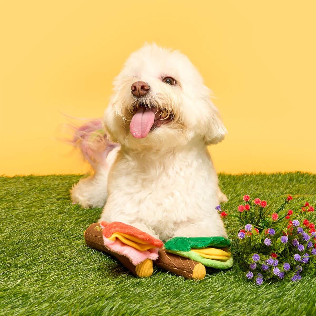 A dog with the the furryfolks branch manager's branch nosework toy on grass against a yellow background.