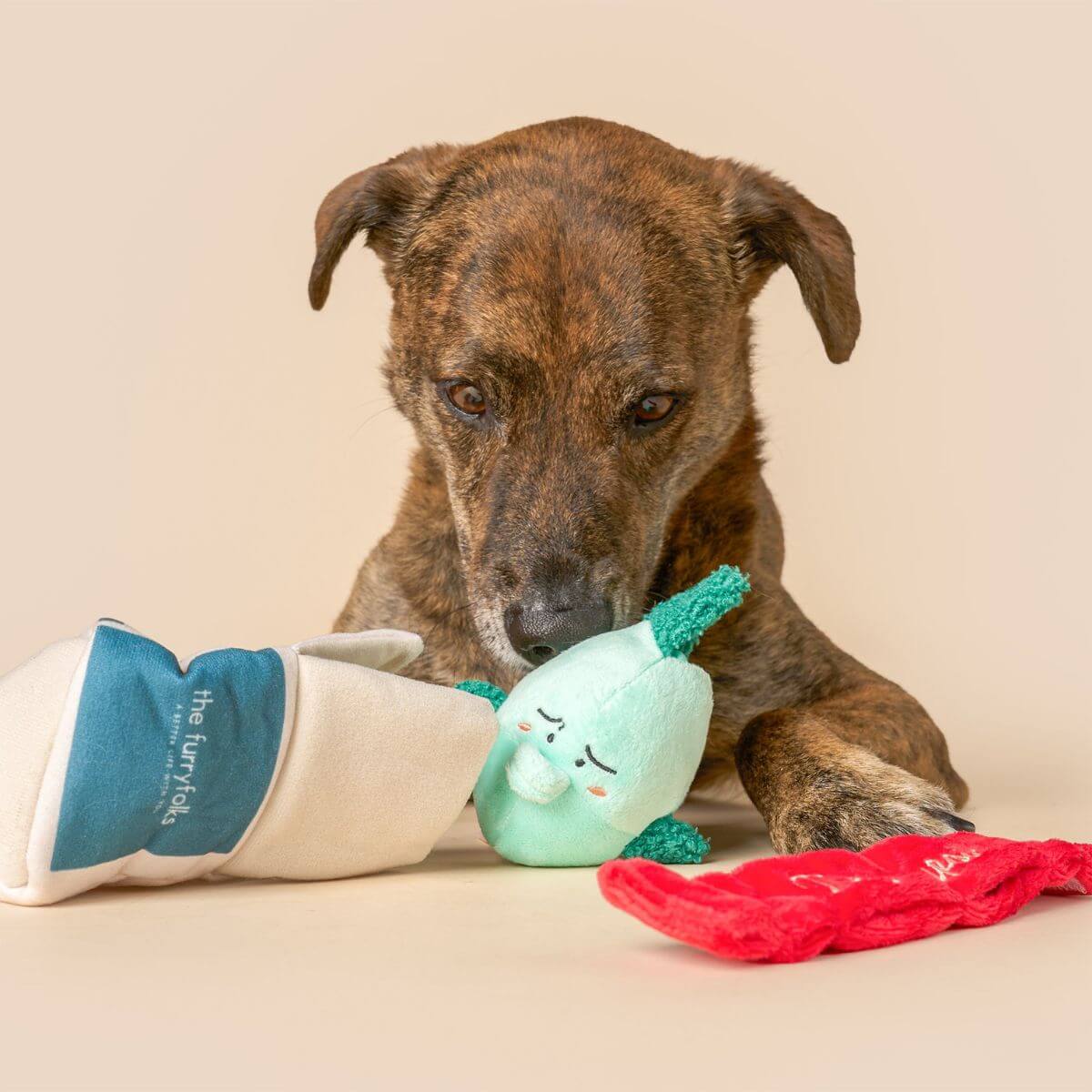 A brown dog and the furryfolks fish express nosework toy.