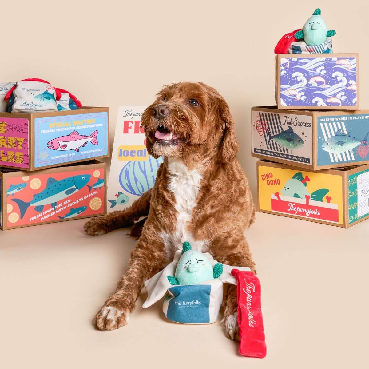 A brown dog with the the furryfolks fish express nosework toy.
