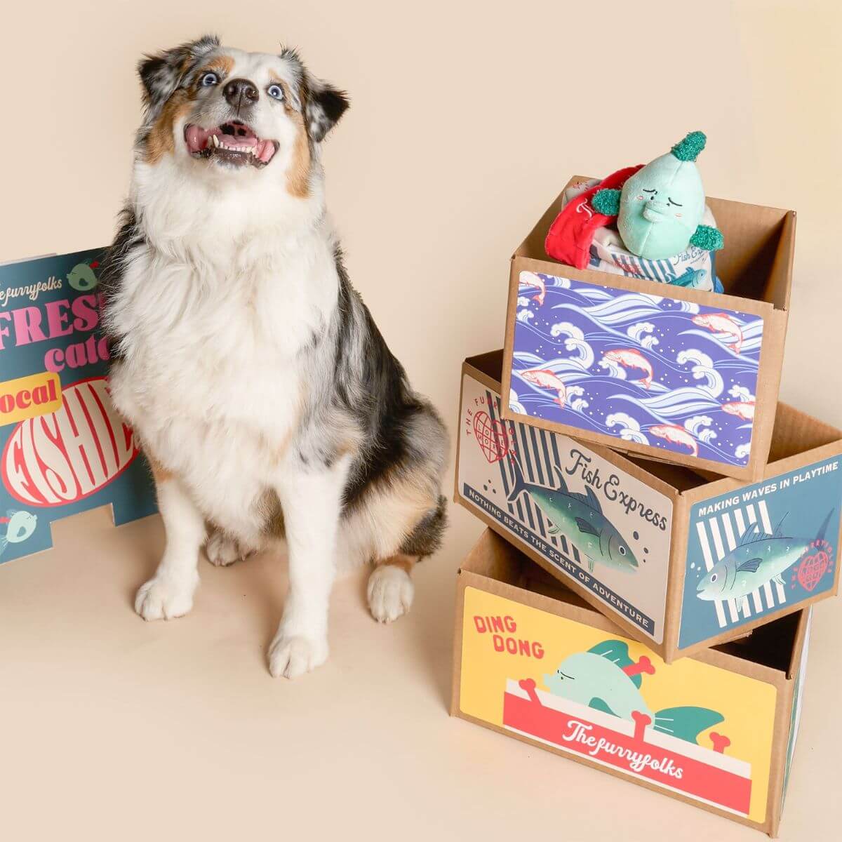 An aussie shepherd with boxes of the furryfolks fish express nosework toy