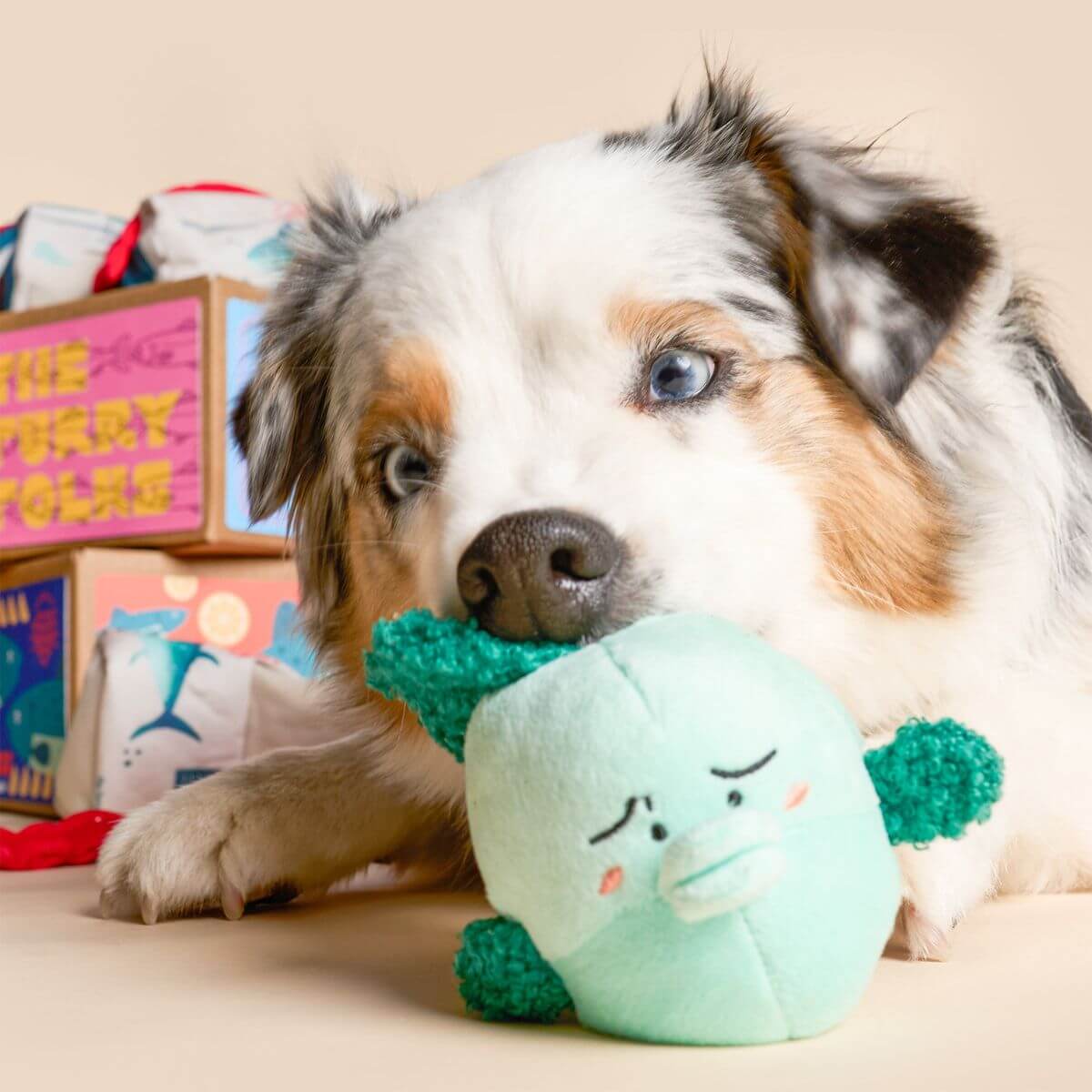 a dog chewing on the fish from the furryfolks fish express nosework toy.