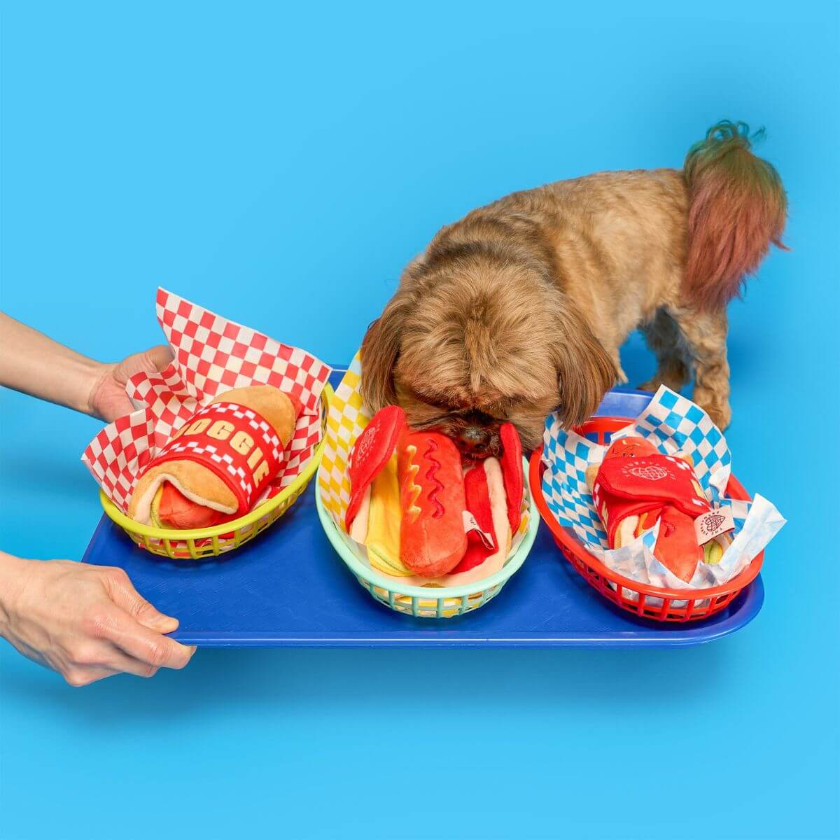 A dog sniffing out the the furryfolks hot doggie nosework toy that are in food baskets on a tray against a blue background.