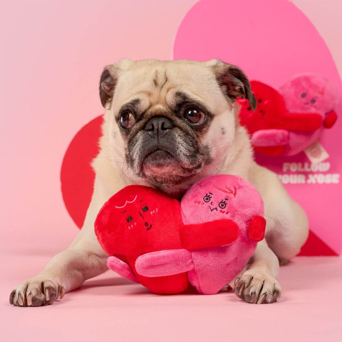 A pug with the furryfolks love locked nosework toy against a pink background and a big heart.