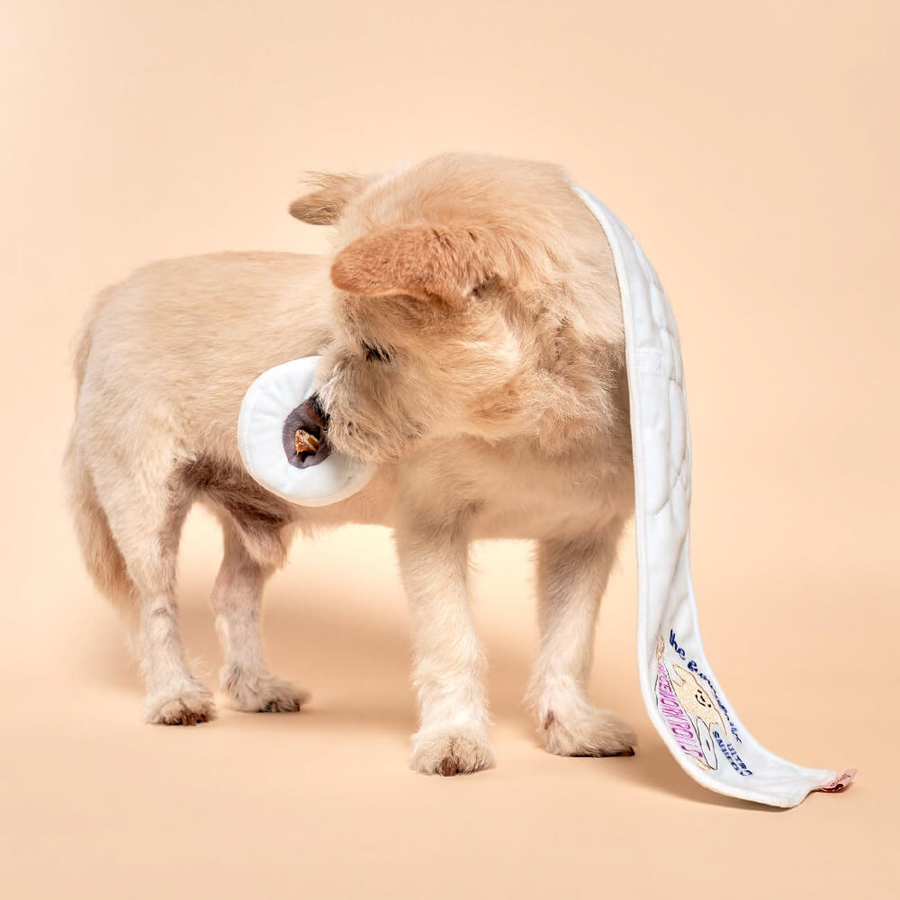 the furryfolks Toilet Paper Nosework Toy