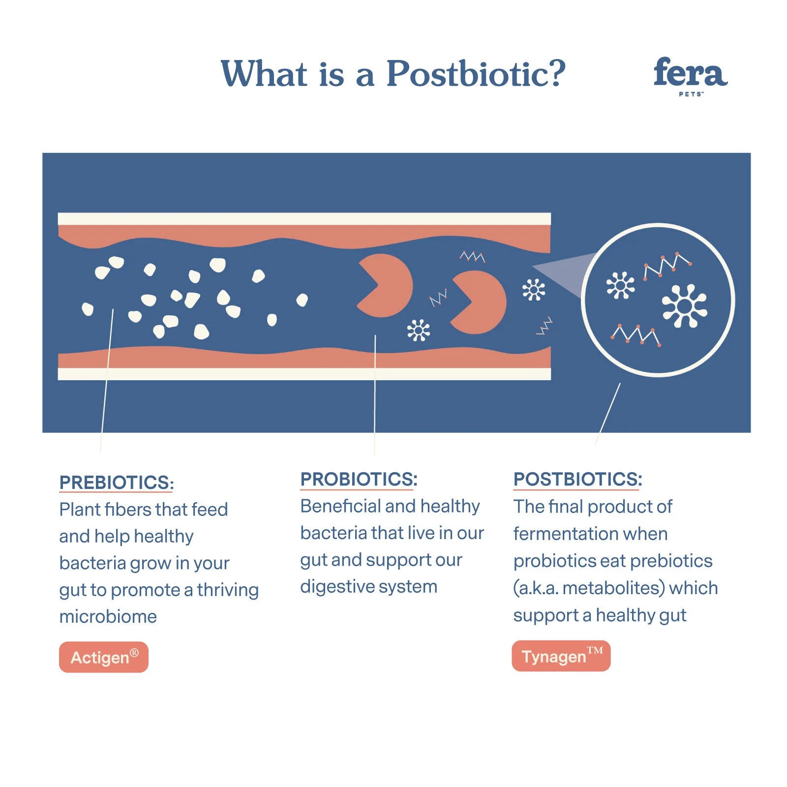 Fera Pets Postbiotics Plus for Dogs