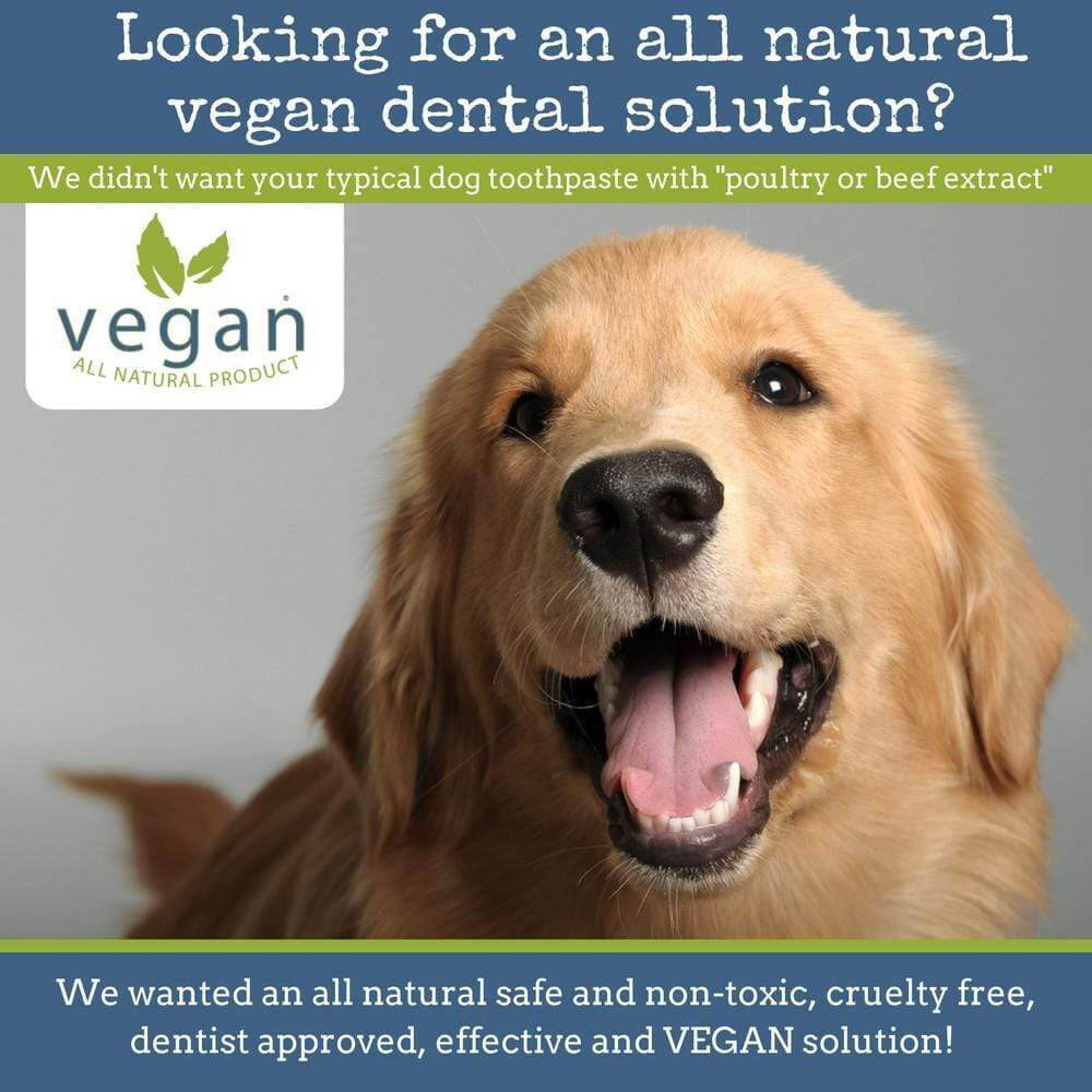 4-Legger Natural Dental Salt - Vanillapup Online Pet Store