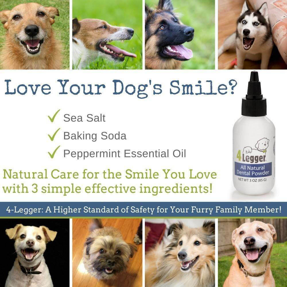 4-Legger Natural Dental Salt - Vanillapup Online Pet Store