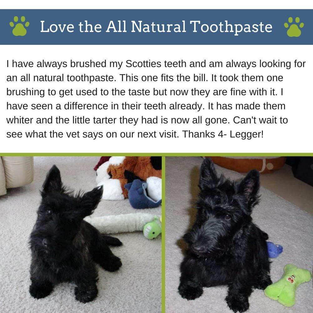 4-Legger Natural Dental Salt - Vanillapup Online Pet Store