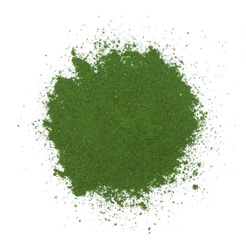 Adored Beast Phyto Synergy | Super Antioxidant - Vanillapup Online Pet Store