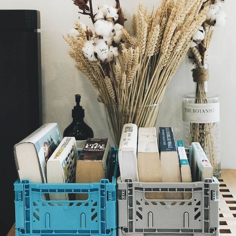 Aykasa Midibox Crate | Black - Vanillapup Online Pet Store