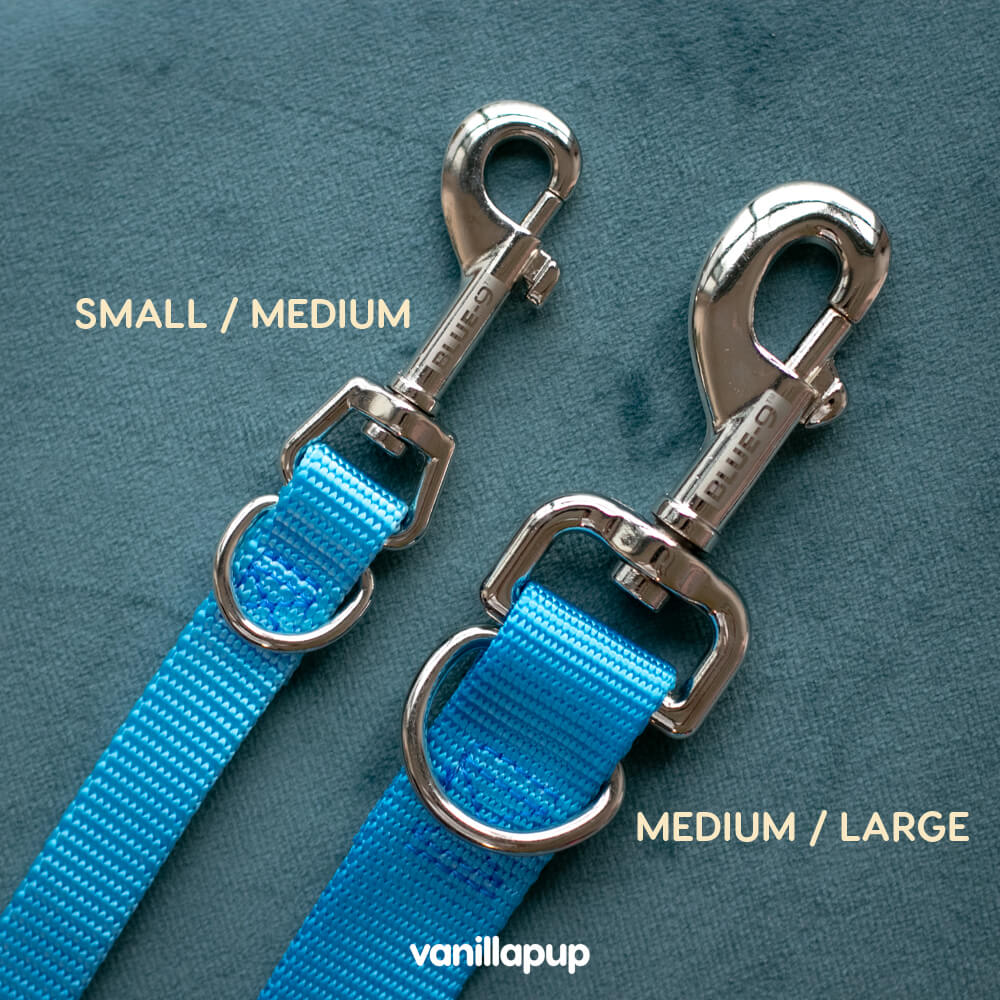 Blue-9 Multi-Function Leash