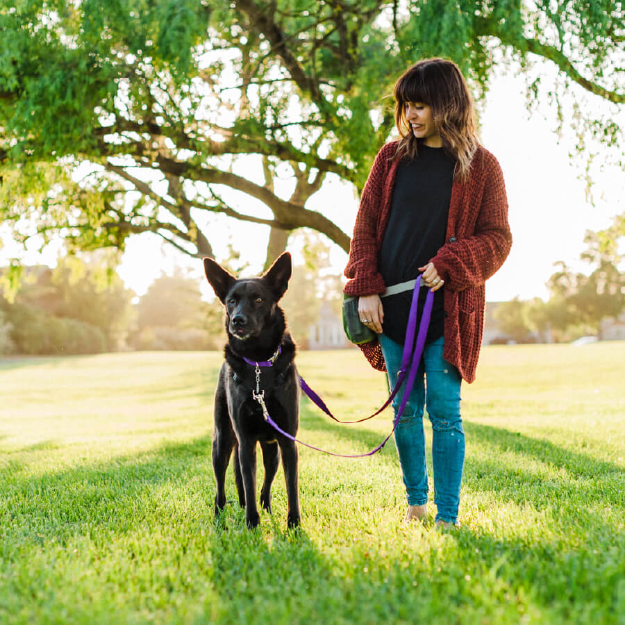 Blue-9 Multi-Function Leash - Vanillapup Online Pet Store