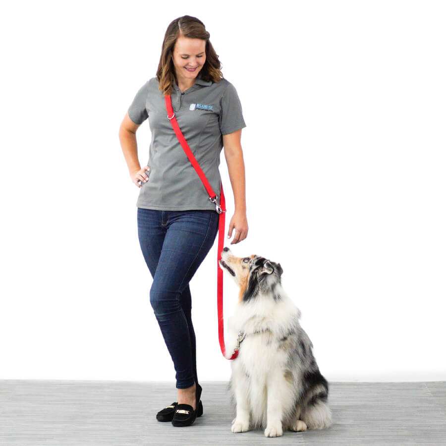 Blue-9 Multi-Function Leash - Vanillapup Online Pet Store