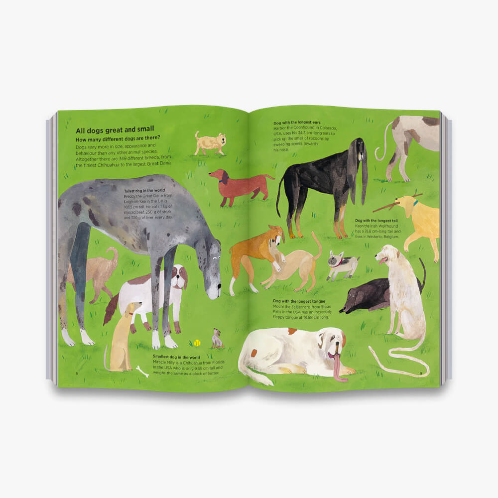 Why Do Dogs Sniff Bottoms? | Illustrated Book - Vanillapup Online Pet Store