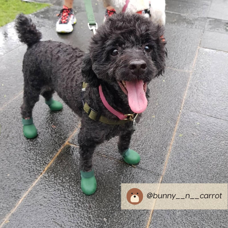 Wagwear WagWellies® Dog Boots