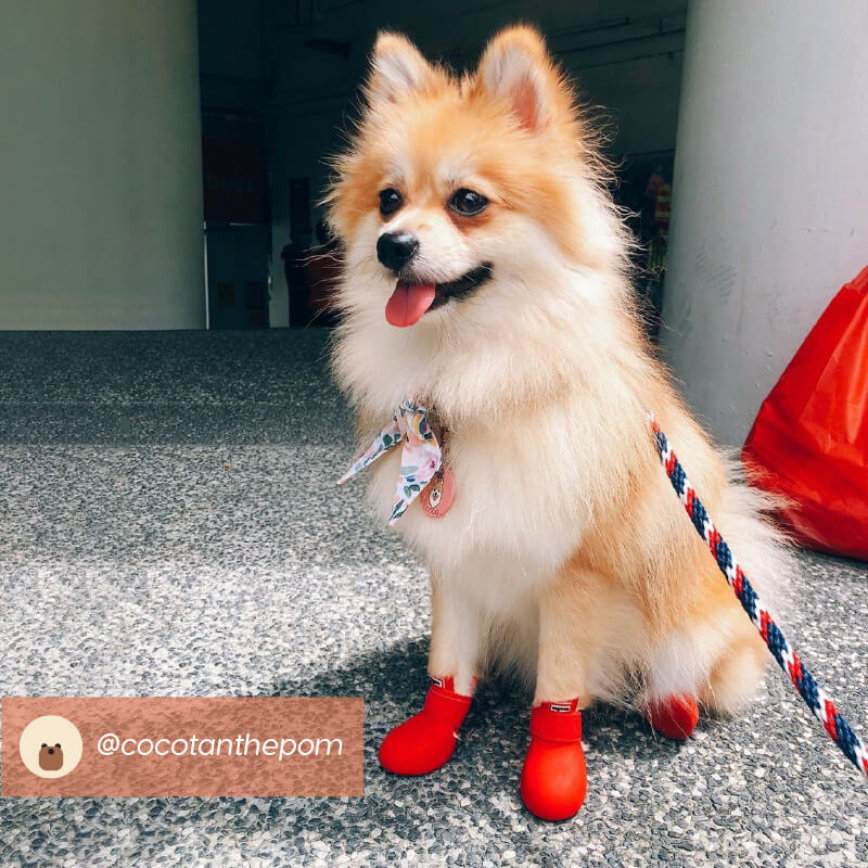 Wagwear WagWellies® Dog Boots