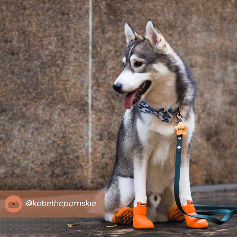 Wagwear WagWellies® Dog Boots