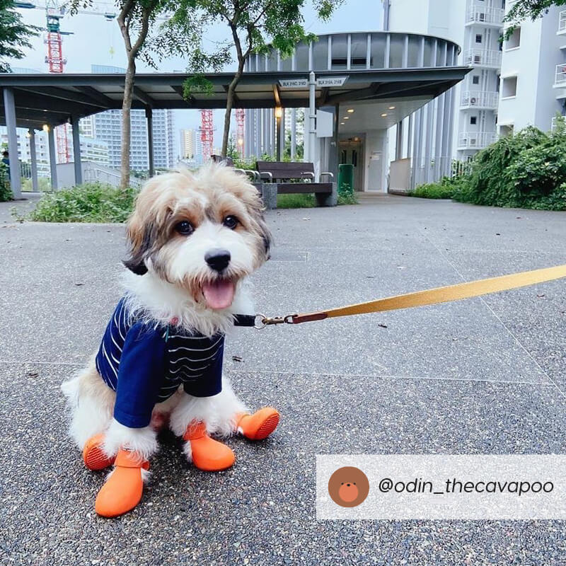 Wagwear WagWellies® Dog Boots