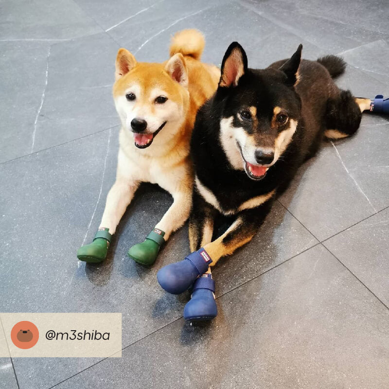 Wagwear WagWellies® Dog Boots