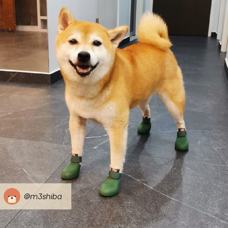 Wagwear WagWellies® Dog Boots