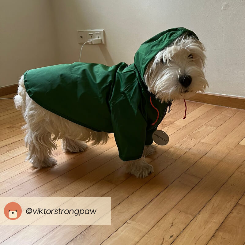 Wagwear Nylon Raincoat - Vanillapup Online Pet Store