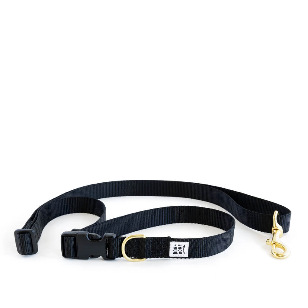 Dog + Bone Multi-way Adjustable Leash | Black - Vanillapup Online Pet Store