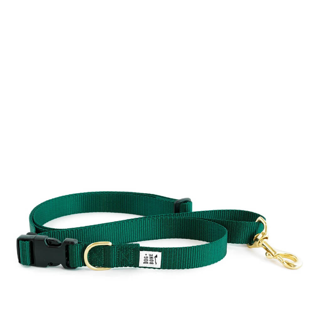 Dog + Bone Multi-way Adjustable Leash | Forest - Vanillapup Online Pet Store