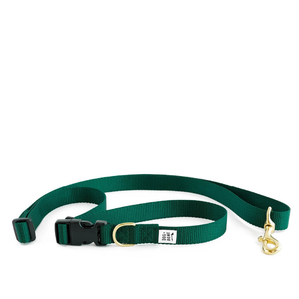 Dog + Bone Multi-way Adjustable Leash | Forest - Vanillapup Online Pet Store