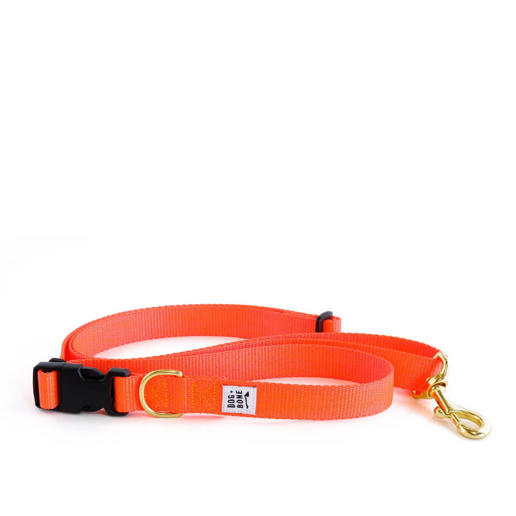 Dog + Bone Multi-way Adjustable Leash | Lava - Vanillapup Online Pet Store