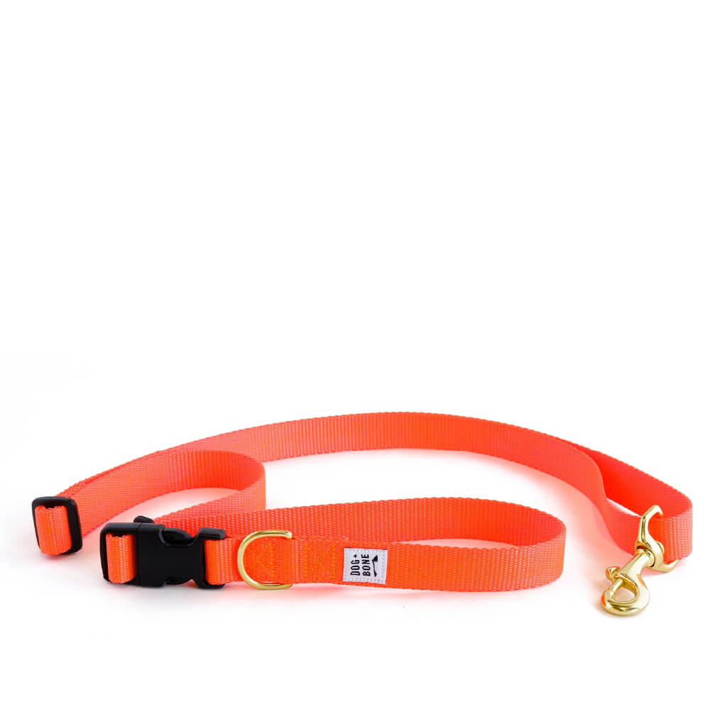 Dog + Bone Multi-way Adjustable Leash | Lava - Vanillapup Online Pet Store