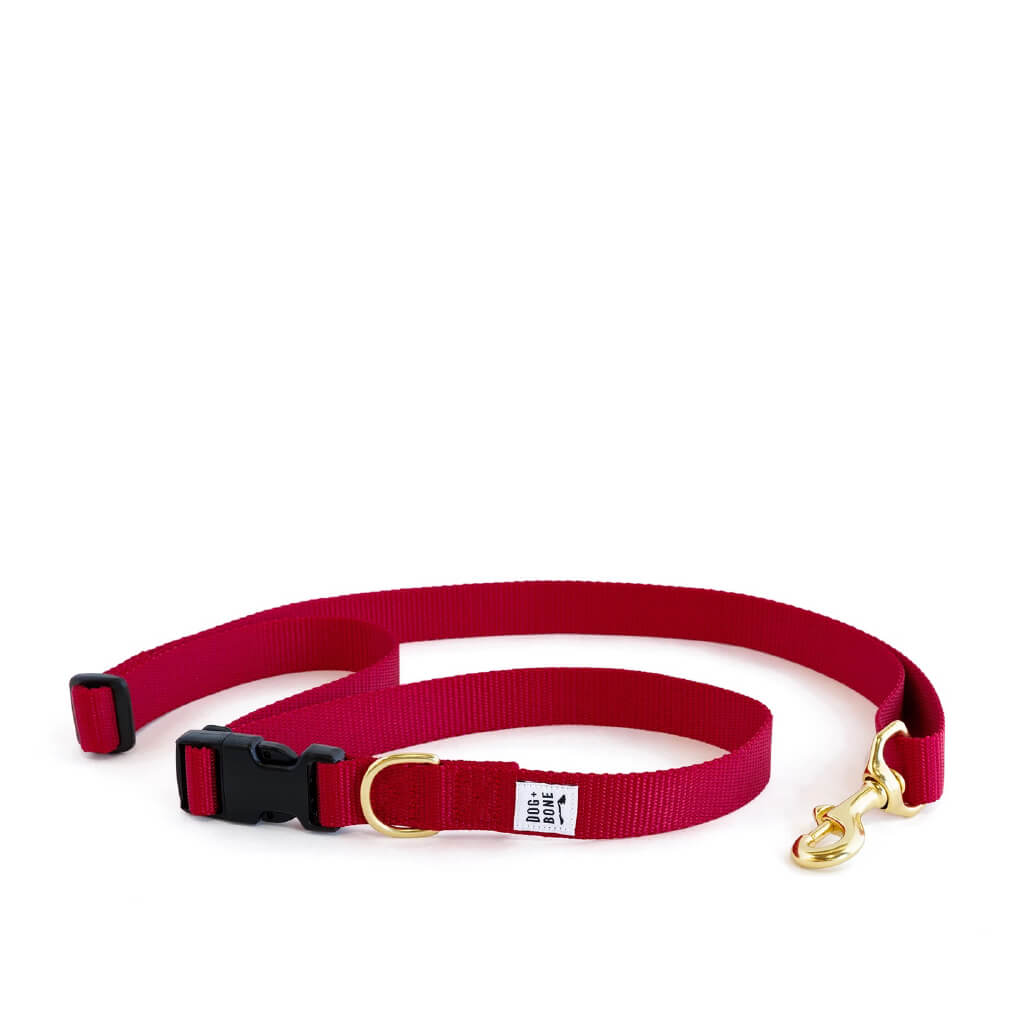 Dog + Bone Multi-way Adjustable Leash | Merlot - Vanillapup Online Pet Store