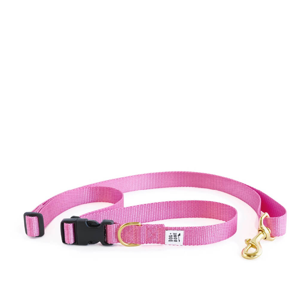 Dog + Bone Multi-way Adjustable Leash | Orchid - Vanillapup Online Pet Store