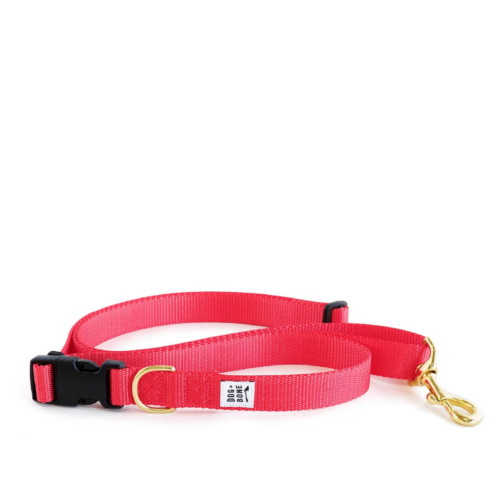 Dog + Bone Multi-way Adjustable Leash | Punch - Vanillapup Online Pet Store