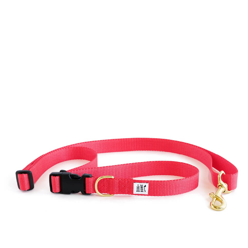 Dog + Bone Multi-way Adjustable Leash | Punch - Vanillapup Online Pet Store