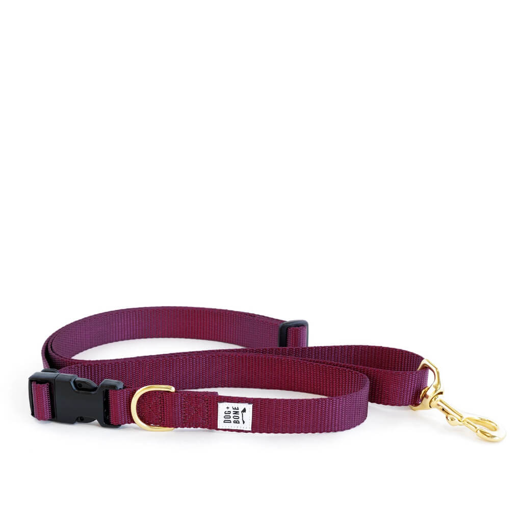 Dog + Bone Multi-way Adjustable Leash | Purple - Vanillapup Online Pet Store