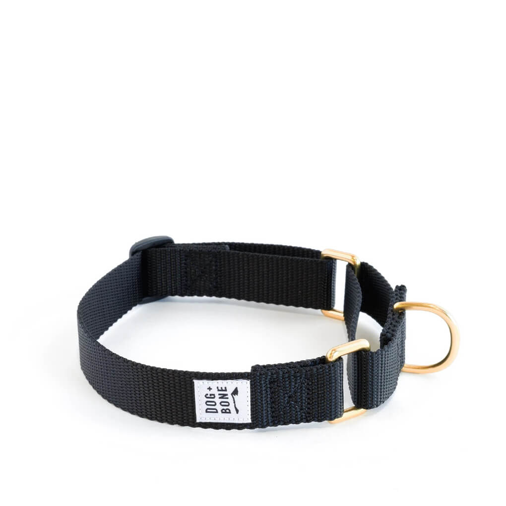 Dog + Bone Martingale Collar | Black - Vanillapup Online Pet Store