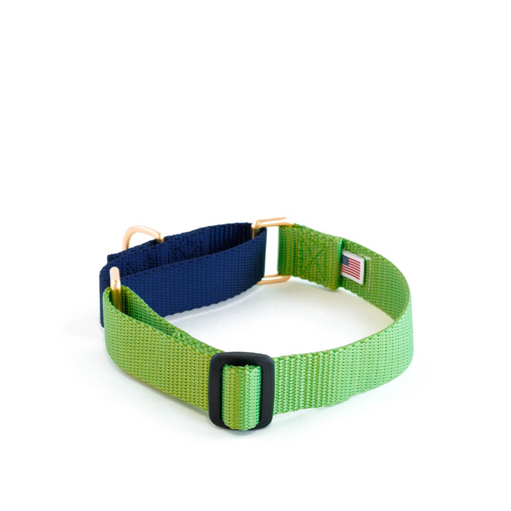 Dog + Bone Martingale Collar | Greenery & Navy - Vanillapup Online Pet Store